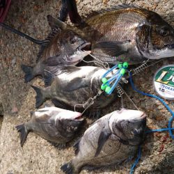 ゴールデンウィーク釣行1日目