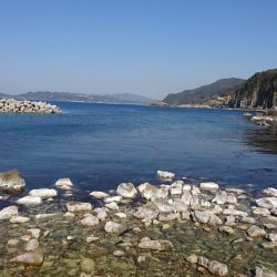 穴釣りしてみた