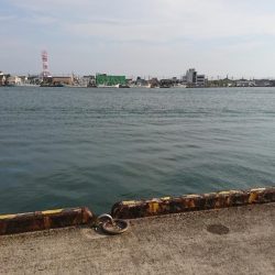 ちょい投げキス釣り