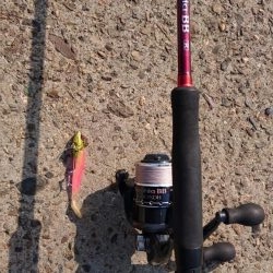 今年4回目の釣行でシーバス