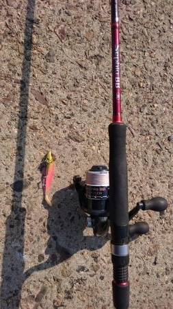 今年4回目の釣行でシーバス