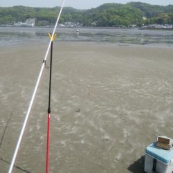 エギング及びキス釣りに