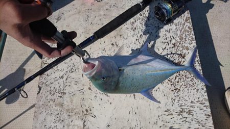 オフショア初挑戦GTはお留守