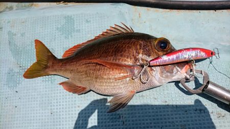 西表島１周オフショア