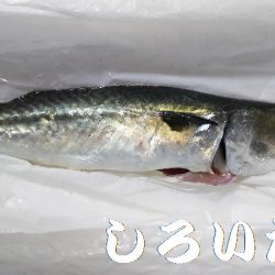 和歌山に行きました！