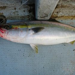 初日本海ジギング