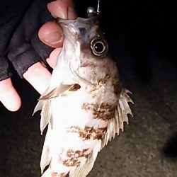 期待してた程では