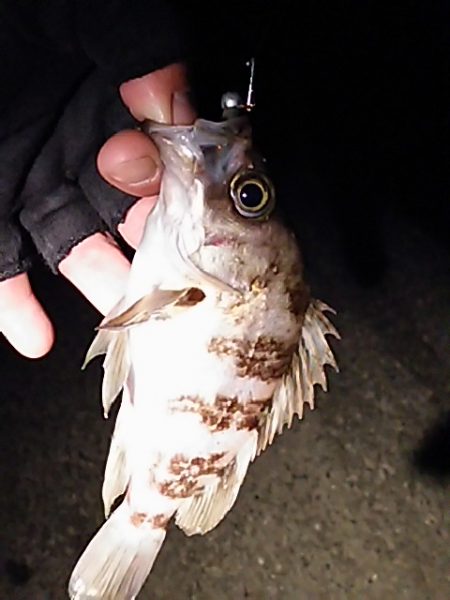 期待してた程では