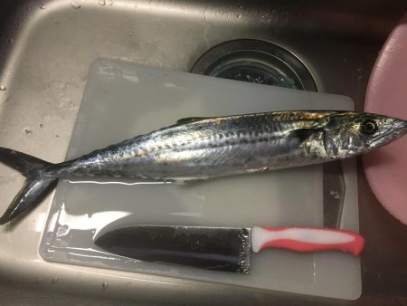 4日の日は飯なしでもいいっすよ？