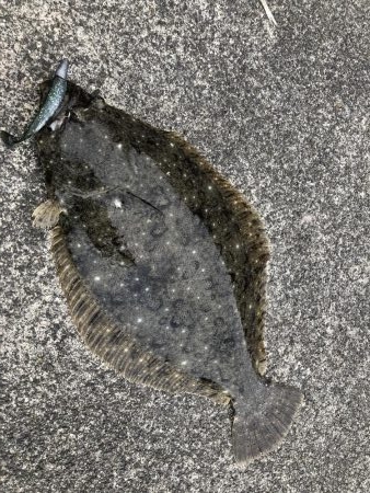 こんなところで！？