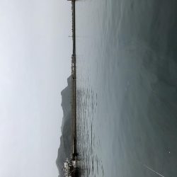 アジ釣り②あたりはあるが、、、。