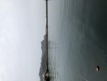 アジ釣り②あたりはあるが、、、。