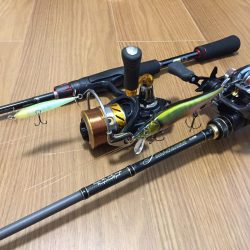 まさかのルアーでレインボー！！！