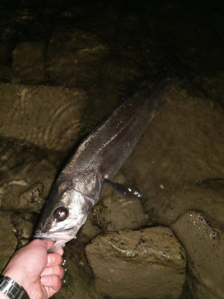 苦手の潮で挑戦