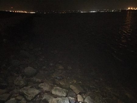 チーバスからのボラ祭り