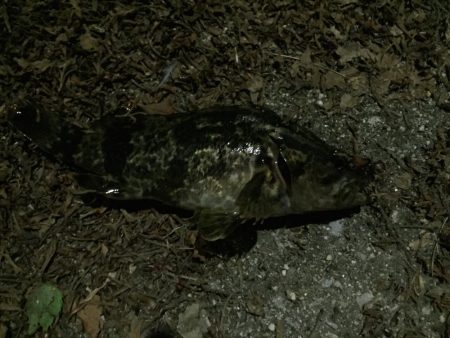 天保山、ボトムゲームでつ抜け達成！