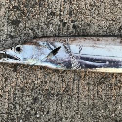 あたりマズマズ