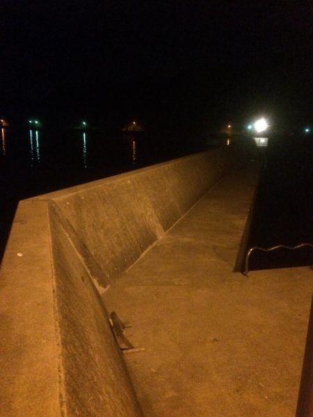 メバルプラッキング