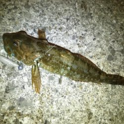 急激に訪れた寒さの中……