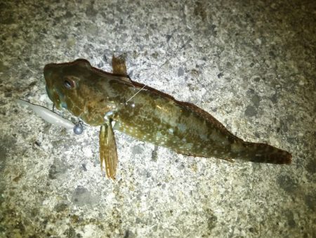 急激に訪れた寒さの中……