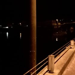 対馬でサバング!!