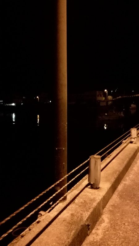 対馬でサバング!!