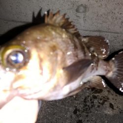 天候不良の前に