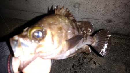 天候不良の前に