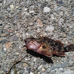 やっと行けた！