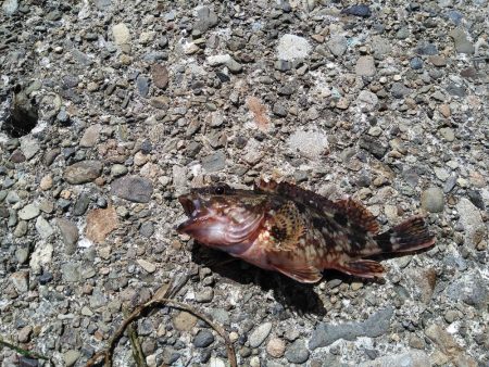 やっと行けた！