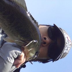 高山ダム釣れ始めています