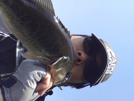 高山ダム釣れ始めています