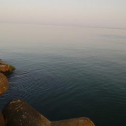 ひらめ釣れましたー