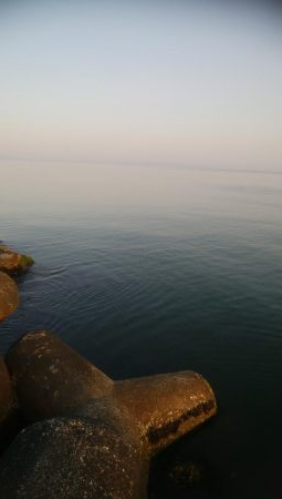 ひらめ釣れましたー