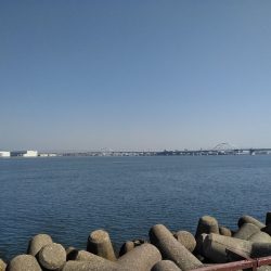 粘って、粘って