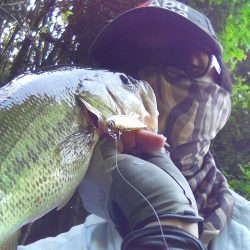 ４月２９日の釣果