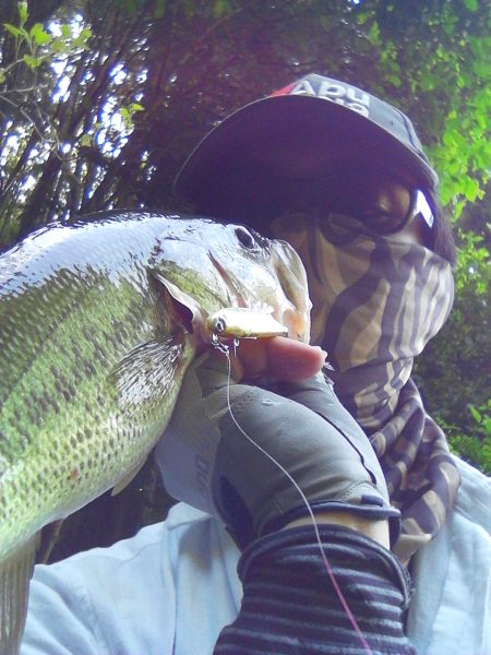 ４月２９日の釣果