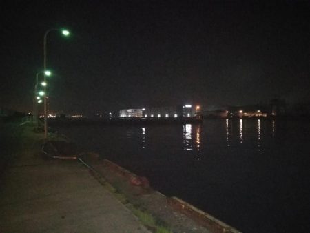 フェリーターミナルでヘチ釣り（昨日に続き、またもやキビレチヌ！）