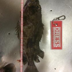 ボトムアタッカー