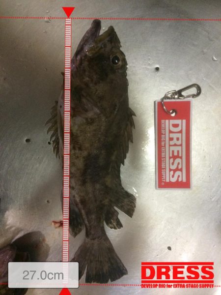 ボトムアタッカー