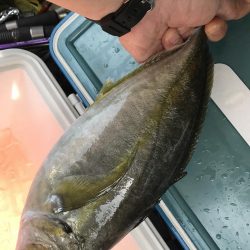 田尻の釣堀で。