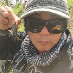 多摩川で沼チチブが沢山釣れました。