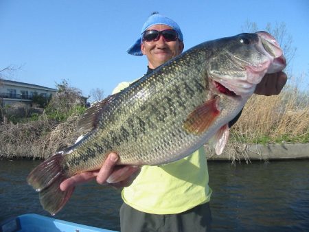 ビックバス狙い