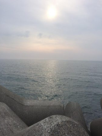 釣れど釣れどエソばかり…