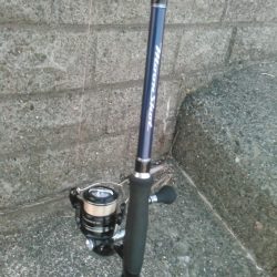 マゴチは裏切らない。