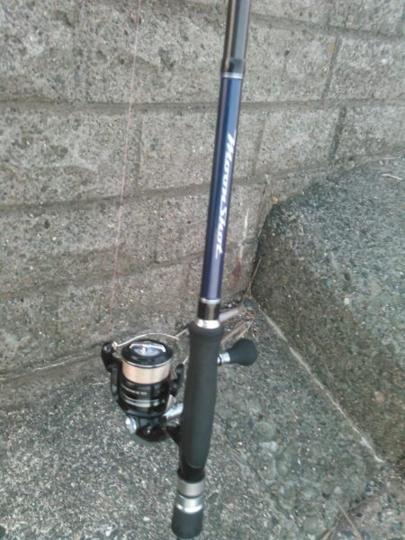 マゴチは裏切らない。