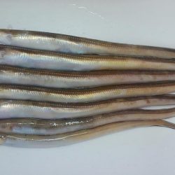 プラッキングで初ゲット