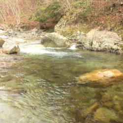 雨降りミノーイング