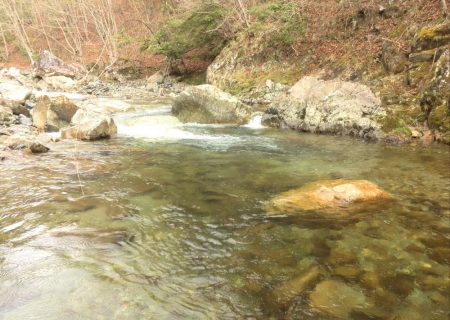 雨降りミノーイング