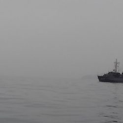 鯛ラバでメジロ